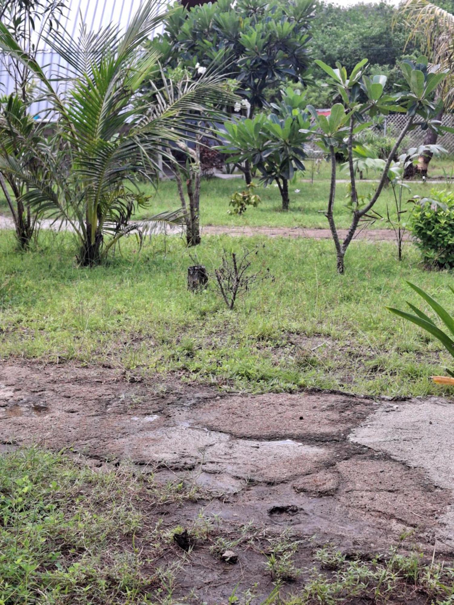 Cnunk Bungalow Gili Meno Bagian luar foto